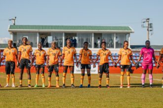 Copper Queens- (Picture via FAZ )